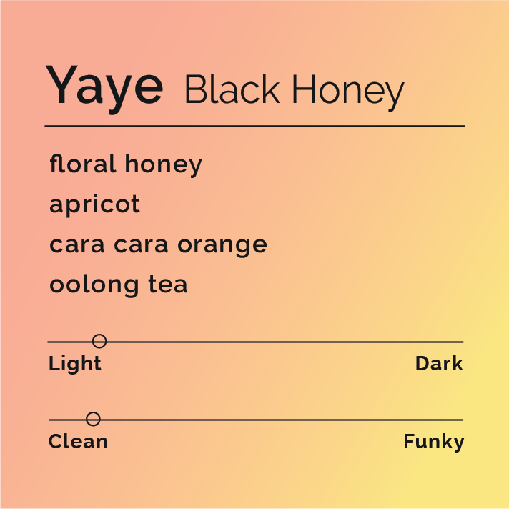 Yaye Black Honey - Instant Coffee pouches, showcasing premium Ethiopian coffee, offering floral and citrus notes, ideal for creating quick, flavorful cups or lattes.