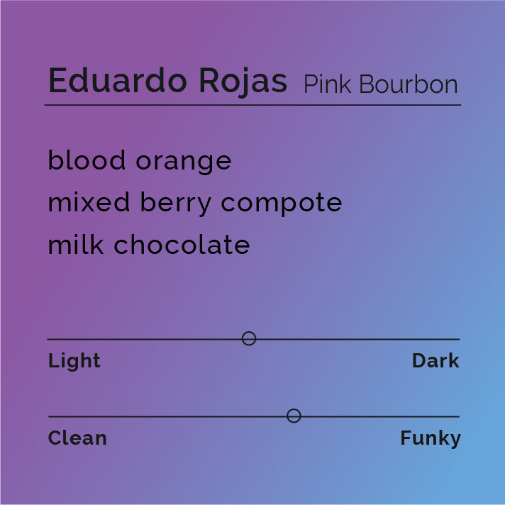 Eduardo Rojas - Pink Bourbon coffee, showcasing its origin in Oporapa, Colombia, highlighting the producer's dedication and the anaerobic natural process for rich, fruity flavors.