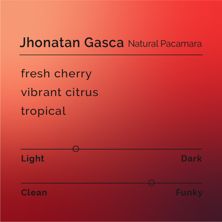 Jhonatan Gasca - Natural Pacamara coffee, featuring a bag highlighting its rich, fruity flavors and innovative processing methods by Colombian producer Jhonatan Gasca.