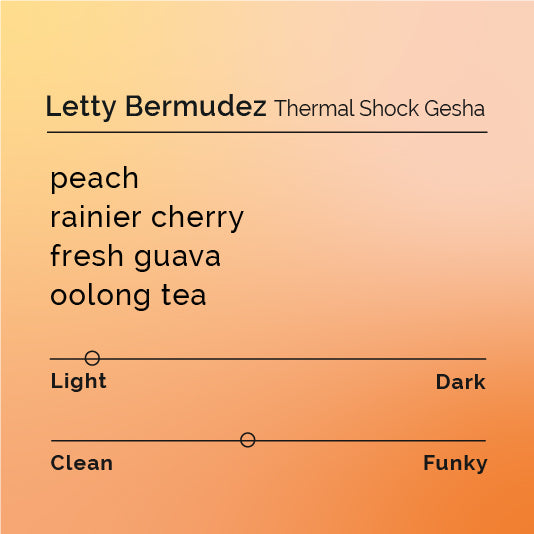Letty Bermudez - Thermal Shock Gesha coffee, showcasing innovative processing methods and intense flavors, created by renowned producer Diego Bermudez at Finca El Paraiso, Colombia.