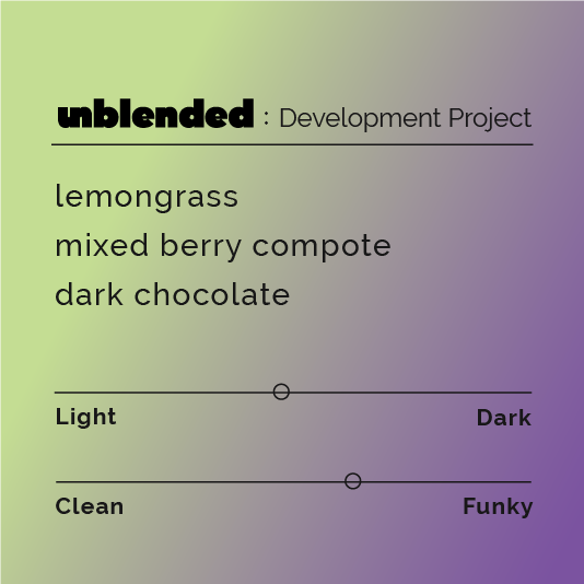 Unblended: Development Project coffee blend from Colombia, featuring a collaboration between young and experienced producers, with natural processing and a flavor profile of lemongrass, berry, and chocolate.