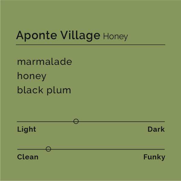 Aponte Village - Honey