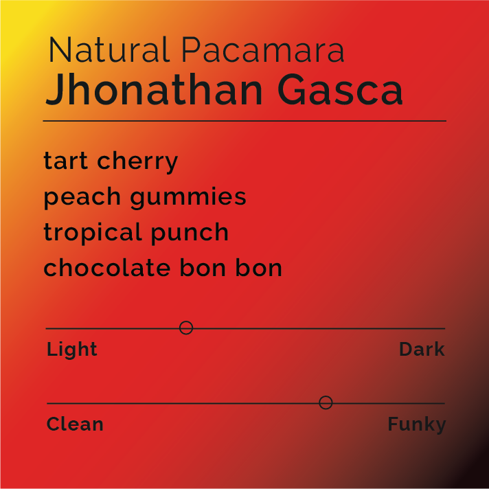 Jhonathan Gasca - Natural Pacamara coffee tasting card with flavor notes of tart cherry, peach gummies, tropical punch, and chocolate bon bon, highlighting light roast and funky profile.