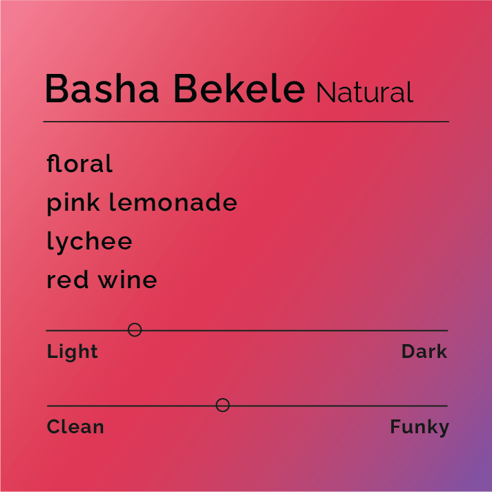 Basha Bekele Natural coffee card: features floral, pink lemonade, lychee, red wine notes; light roast, clean process; producer details from Bensa, Ethiopia.