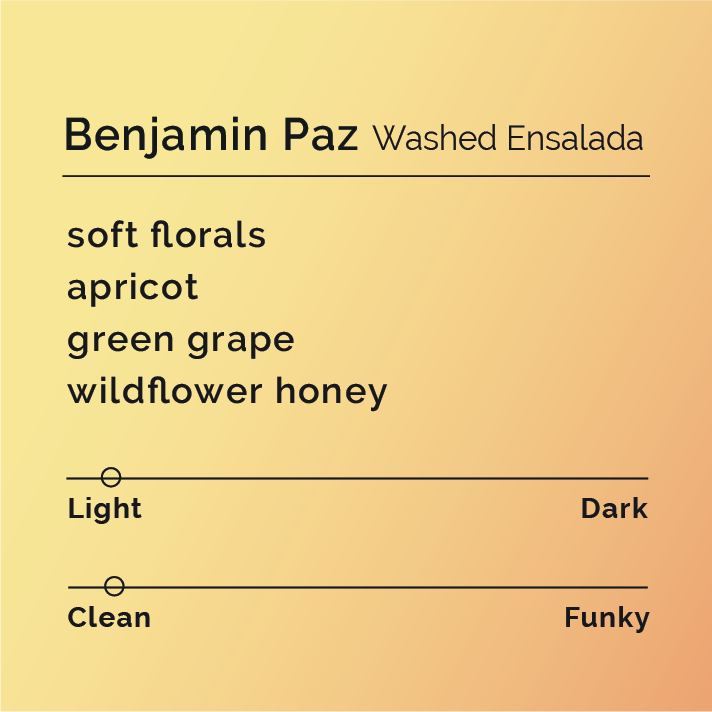 Coffee-tasting card for Salad Set - Benjamin Paz featuring flavor notes: soft florals, apricot, green grape, wildflower honey, and roast/cleanliness rating bars.
