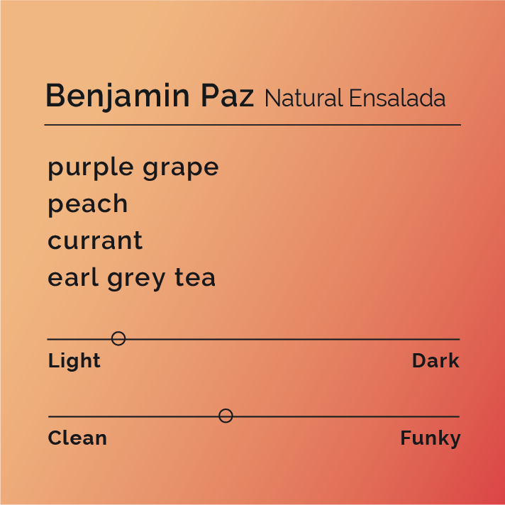 Salad Set - Benjamin Paz coffee-tasting card featuring flavor notes of purple grape, peach, currant, earl grey tea, with light roast and balanced flavor sliders.