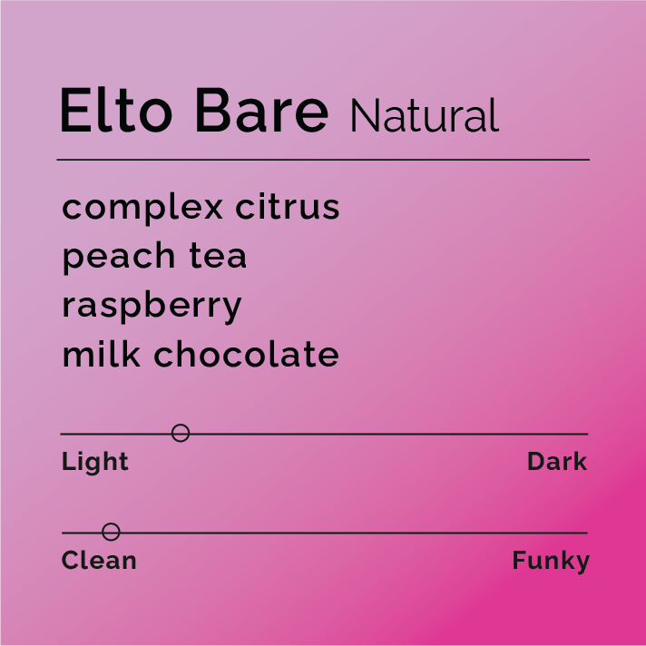 Elto Bare Natural description on a pink background