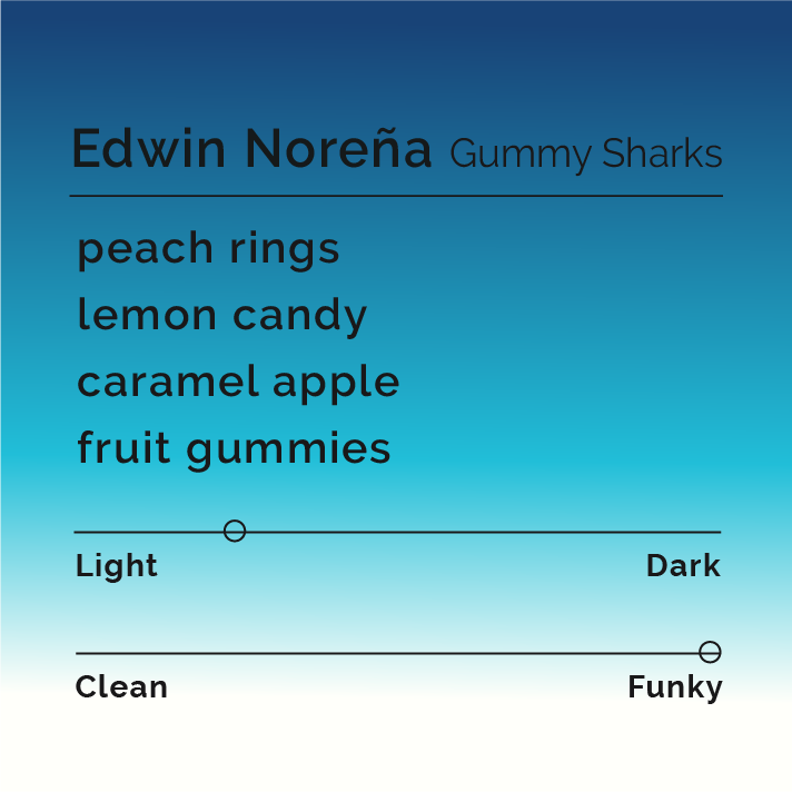 Edwin Noreña - Gummy Sharks coffee, showcasing co-fermentation expertise, features green apple and berry-infused beans from Campo Hermoso, Colombia, highlighting unique processing methods.