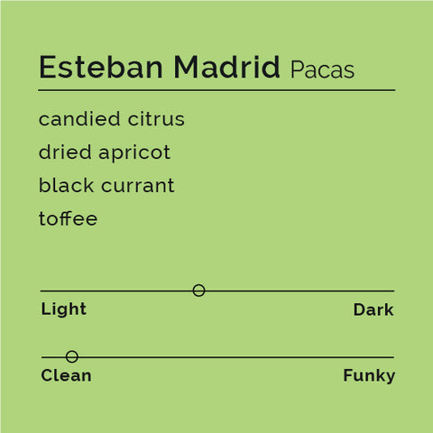 Esteban Madrid - Pacas