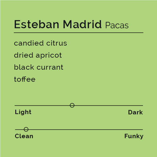 Esteban Madrid - Pacas