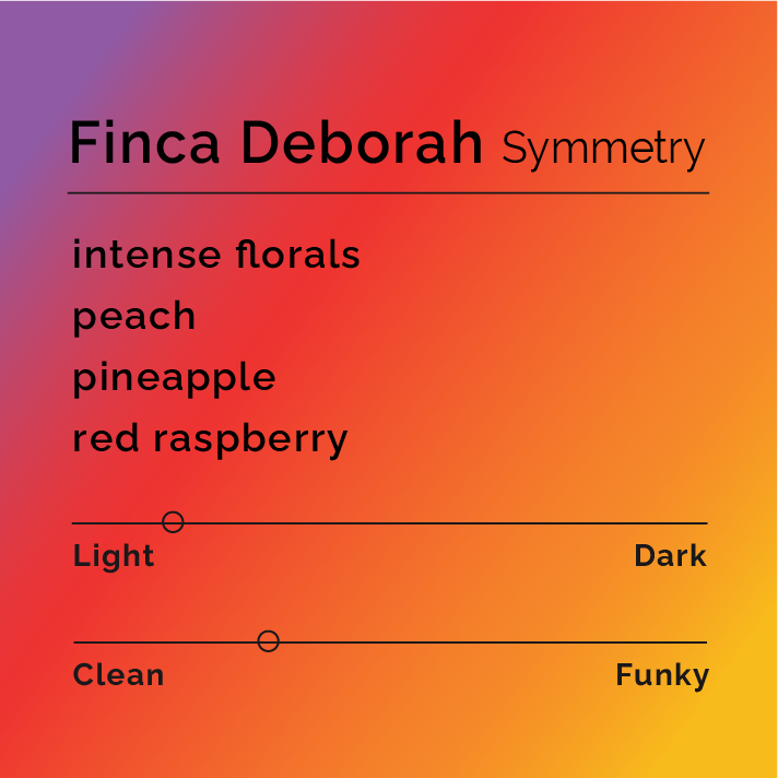 Finca Deborah - Symmetry