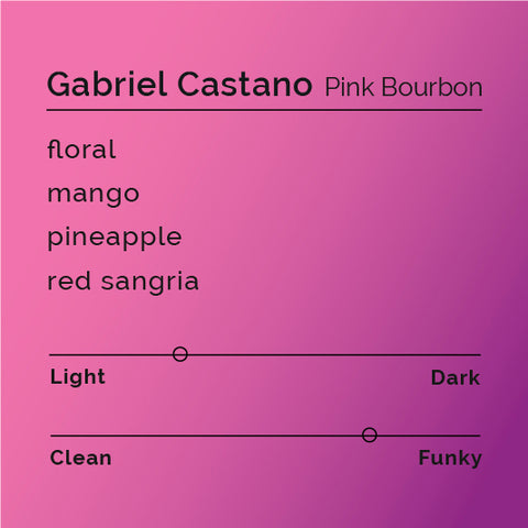 Gabriel Castano - Pink Bourbon
