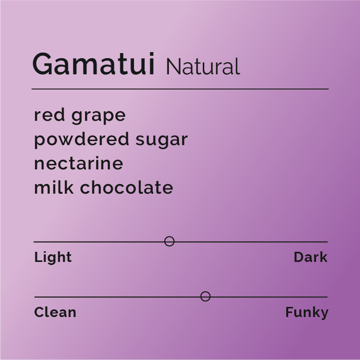 Gamatui - Natural coffee, showcasing black text on a purple background, emphasizing its distinct grape-like flavor and unique natural processing from Uganda's Gamatui community.