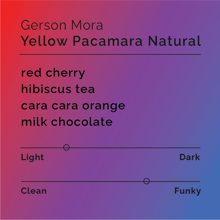 Product label for Gerson Mora - Yellow Pacamara Natural with flavor description, higher funk, and lighter roast, on a color gradient background.