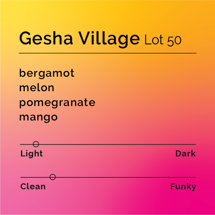 Gesha Village Lot 50 coffee tasting card displays flavor notes of bergamot, melon, pomegranate, mango; light roast and clean flavor profile.
