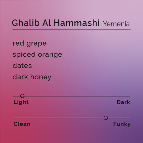 Ghalib Al Hammashi