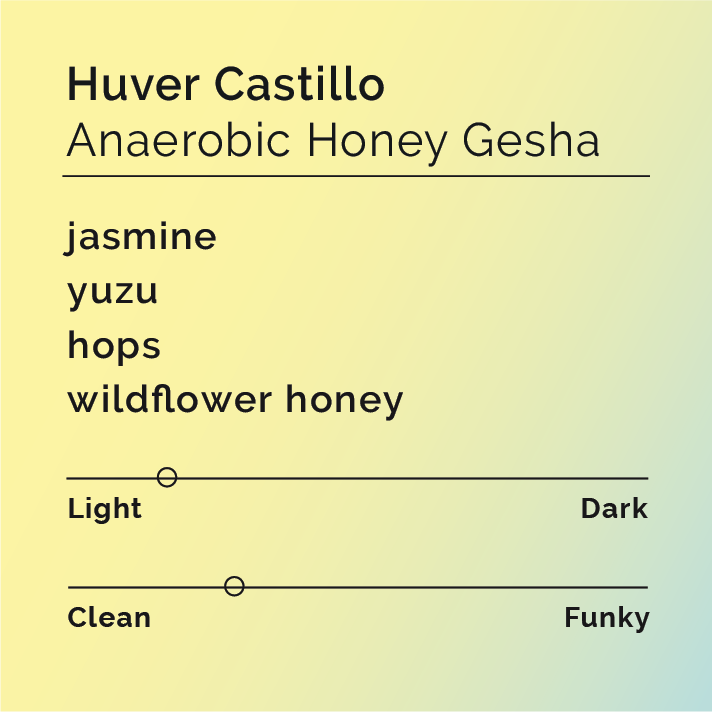 Huver Castillo Anaerobic Honey Gesha tasting card; notes: jasmine, yuzu, hops, wildflower honey. Light roast, clean flavor; showcases Colombian specialty coffee's unique profile.