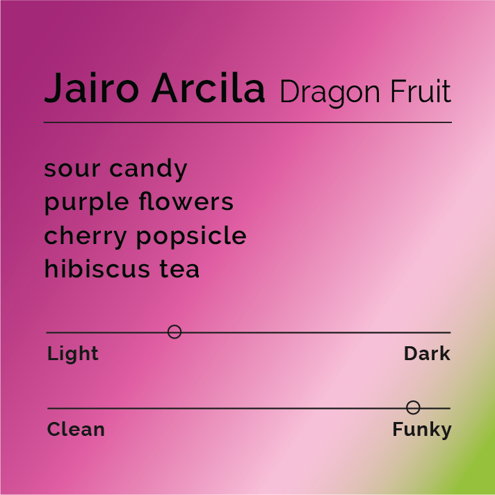 Flavor card for Jairo Arcila - Dragonfruit coffee, highlighting tasting notes of sour candy, purple flowers, cherry popsicle, and hibiscus tea, with light and funky attributes.