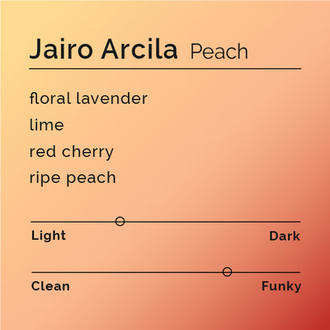 Jairo Arcila - Peach