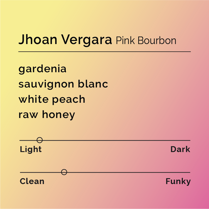Jhoan Vergara Pink Bourbon tasting card with notes: gardenia, sauvignon blanc, white peach, raw honey. Roast: Light. Flavor: Clean. Background: yellow-pink gradient.