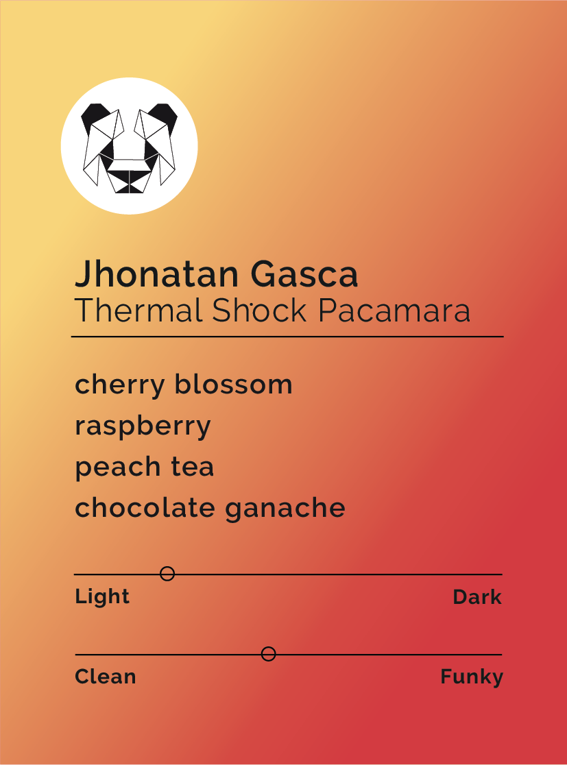 Photo of Jhonatan Gasca Thermal Shock Pacamara | Colombia | Black & White Coffee Roasters