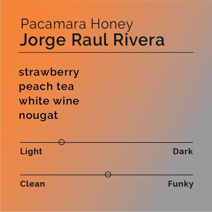 Pacamara Honey coffee tasting card by Jorge Raul Rivera, featuring notes of strawberry, peach tea, white wine, nougat; light roast, moderately clean flavor profile.