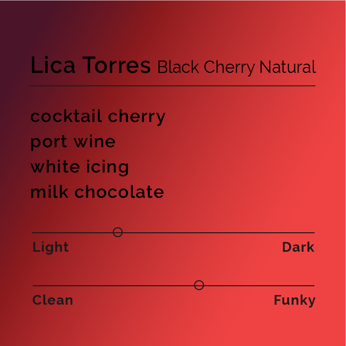 Lica Torres Black Cherry Natural coffee profile card with notes of cocktail cherry, port wine, white icing, milk chocolate; light roast, slightly funky flavor.
