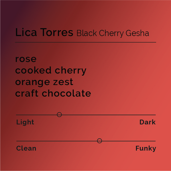 Lica Torres Black Cherry Gesha | Costa Rica | Black & White Coffee