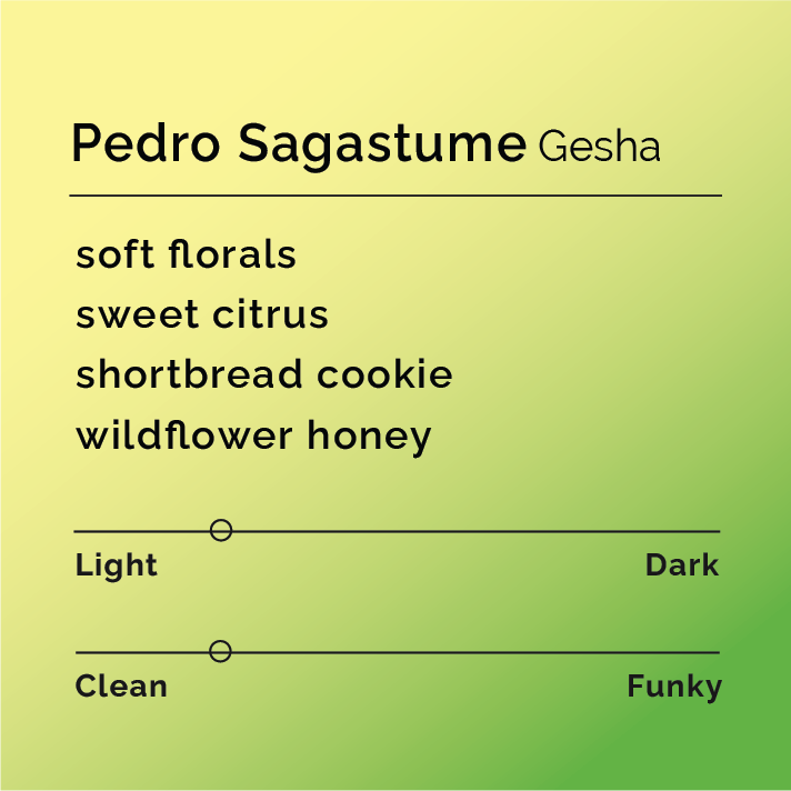 Coffee flavor profile chart for Pedro Sagastume Gesha on a green gradient background