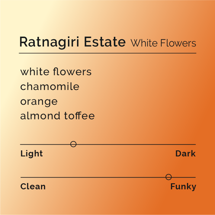 Ratnagiri Estate - White Flowers coffee, featuring co-fermented beans with floral notes, showcased in a package highlighting its Indian origin and specialty production.