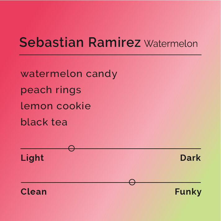 Sebastian Ramirez Watermelon flavor profile card, highlighting tasting notes: watermelon candy, peach rings, lemon cookie, black tea, with light and slightly funky characteristics.