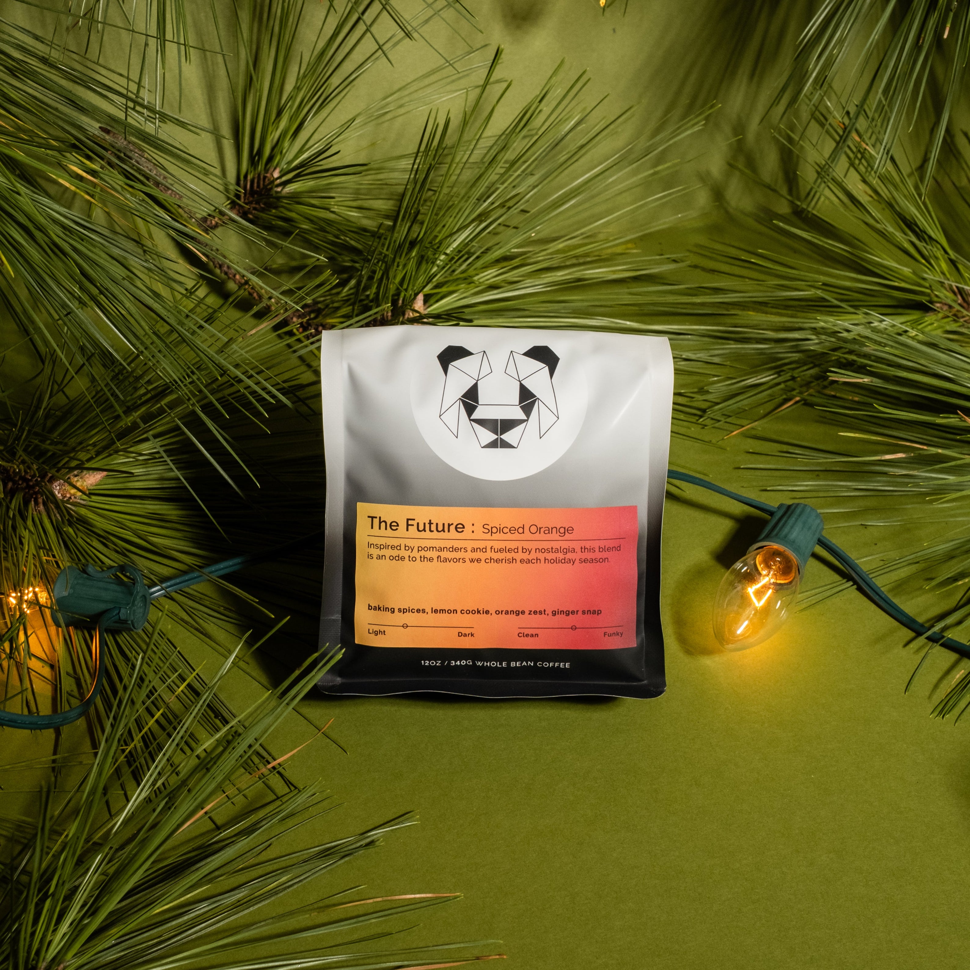 The Future Spiced Orange Coffee bag on a green backdrop with pine branches all around.