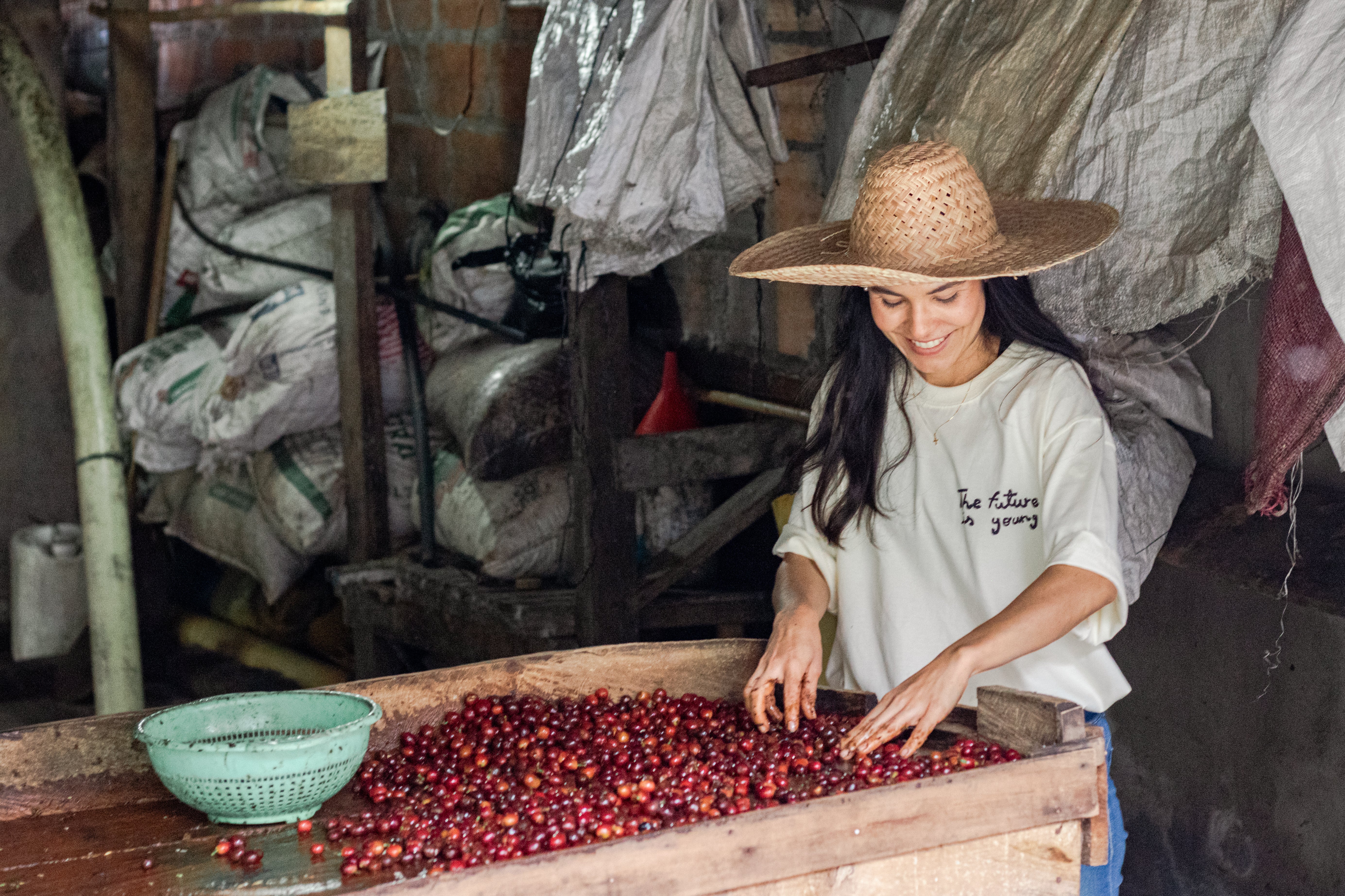 A Female Colombian producer shorting coffee cherries as part of the UnBlended Young Producers Project.