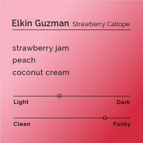 Elkin Guzman - Strawberry Catiope
