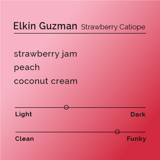 Elkin Guzman - Strawberry Catiope