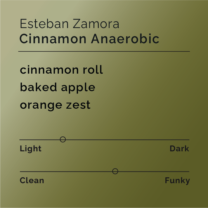 Product label for Esteban Zamora - Cinnamon Anaerobic with flavor description, mild funk, and lighter roast, on a color gradient background.