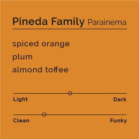 Pineda Family - Parainema