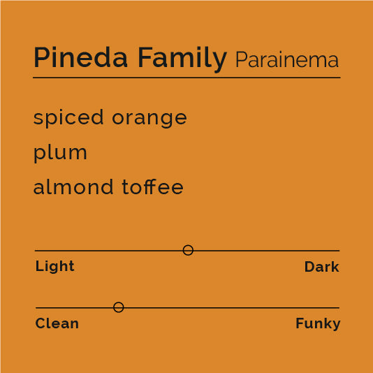 Pineda Family - Parainema