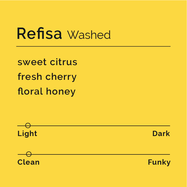 Refisa coffee-tasting card with flavor notes: sweet citrus, fresh cherry, floral honey. Light/clean spectrum sliders, highlighting its washed-process origin from Ethiopia's Nensebo district.