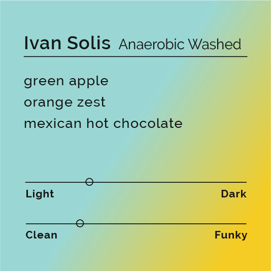 Ivan Solis - Anaerobic Washed