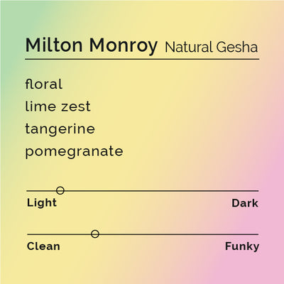 Milton Monroy - Natural Gesha