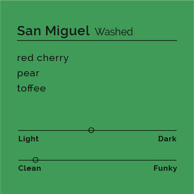 San Miguel