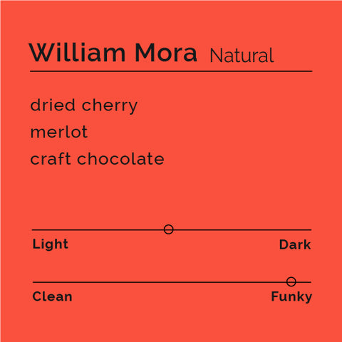 William Mora - Natural