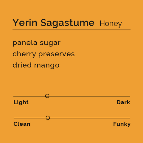 Yerin Sagastume - Honey